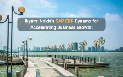 Catalyzing Growth: Unveiling the Impact of SAP Partner in Noida