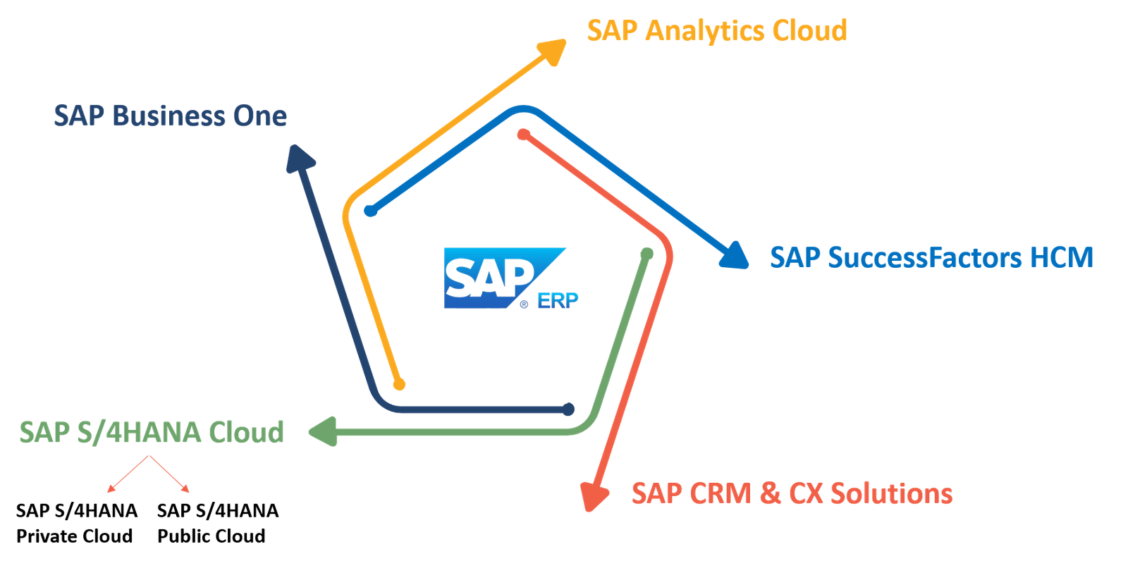 SAP Partner in India