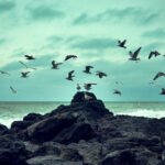 SAP Cloud ERP in the AI Era: Turning Data into Smarter Business Decisions