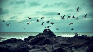 SAP Cloud ERP in the AI Era: Turning Data into Smarter Business Decisions